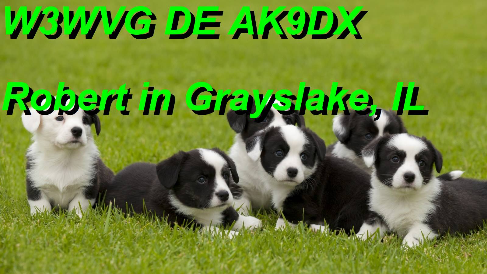 AK9DX image#3