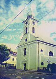 The Catholic Church
