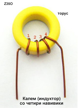 torus3