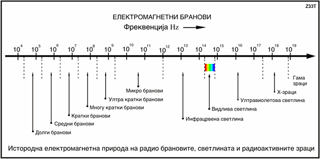 emb1b